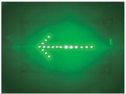 �~�Y�P�C LED�}�O�l�b�g�t�V�[�g���� ��LED 8202013