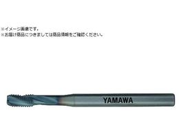 } A~HpXpC^bv ACHSP P4 M8X1.25ACHSP-P4-M8X1.25