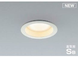 �R�C�Y�~ �Z��E�X�ܗp�Ɩ� �񒲌� �d���F �����pGX�����v�^LED�t�� SB�_�E�����C�g 100W���� AD1161W27