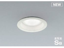 �R�C�Y�~ �Z��E�X�ܗp�Ɩ� �񒲌� �����F �����pGX�����v�^LED�t�� SB�_�E�����C�g 100W���� AD1161W50