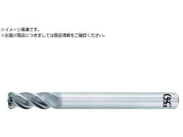 OSG ���d�h�U�^�G���h�~�� AE-VMS �V���[�g�^ ���W�A�X 8556240AE-VMS 10XR1.5 8556240