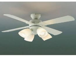 �R�C�Y�~ �Z��E�X�ܗp�Ɩ� �񒲌� �d���FLED�t�� ���^�C���e���A�t�@�� 6���p AM43212L