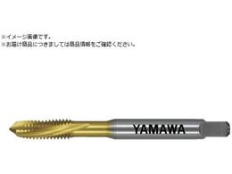 } R[eBOʂ茊pXpC^bv AU+SL P2 M3X0.5AU-SL-P2-M3X0.5