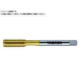 } A[NXnh^bv AXE-HT P3 M12X1.25 1.5PAXE-HT-P3-M12X1.25-1.5P