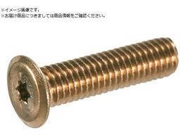 TRUSCO �w�b�N�X���[�u���ɒᓪ�˂� �X�e�����X ���C�g�u�����Y M3�~16 10�{��B187-0316