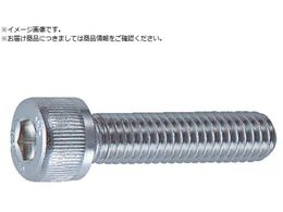 TRUSCO �Z�p���t�{���g �X�e�����X �S�l�W M2.5�~4 24�{�� �L���b�v�{���g CAP B44-2504