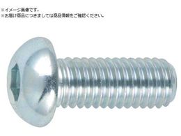 TRUSCO �Z�p���t�{�^���{���g �O���� M10�~25 6��B774-1025