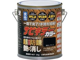 BAN�[ZI �h�K�h�� �T�r�L���[�J���[������ 1kg �������