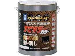 BAN�[ZI �h�K�h�� �T�r�L���[�J���[������ 4kg �������