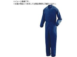 ~hS ʌ^N[EFA lCr[ M C1031N-M