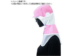 TybNX N[t[f t[h CD-590-D1-M