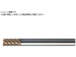 MOLDINO ���d���W�A�X�G���h�~�� �G�|�b�NTH�n�[�h �V���[�g�n CEPS6060-TH CEPS6060-TH