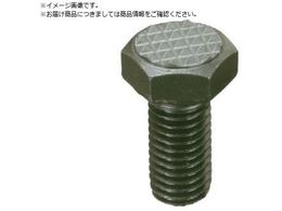 Fairlane CTEObn[ AWXg^Ct CT-16200