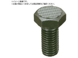 Fairlane CTEObn[ AWXg^Ct CT-20250