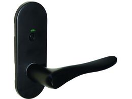 MK GM o[nh LIMITED TXS-1K42 \ B S51 }bgubN D-9001K42U