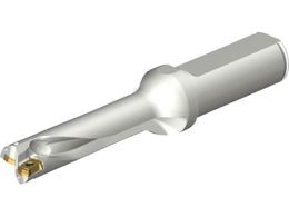 SANDVIK �R���h����DS20�n��������h���� 465 DS20-D1500L20-04 465