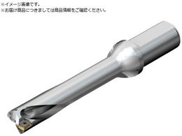 SANDVIK RhDS20nh 465 DS20-D1800L25-05 465