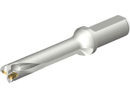 SANDVIK RhDS20nh 465 DS20-D2000L25-05 465