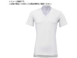 x^  X  fIhCYebN VlbN zCg XL DT-25153151