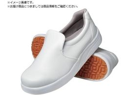 �O�i�S�� �V�F�t���C�g ���\100 �� 22.0cm E0635BA220