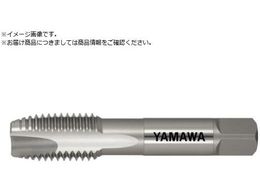 } ޗp|Cg^bv EH-PO P5 M20X2.5 EH-PO-P5-M20X2.5