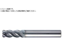 MOLDINO ���d���W�A�X�G���h�~�� �G�|�b�NSUS�}���` EPSM4120-R0.3-PN EPSM4120-R0.3-PN