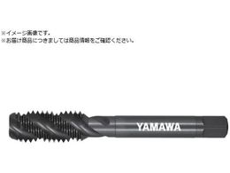 } |pXpC^bv E-SP P2 M10X1.25 E-SP-P2-M10X1.25