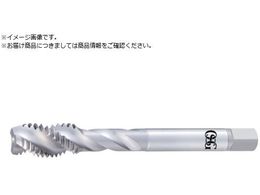 OSG ^bv 18030 EX-SFT-STD-M2.5X0.45 18030