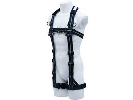 KH tn[lX ΂Xgb` I^ FIPGSL-L2