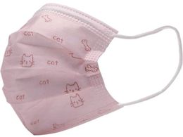 CAR-BOY ǂp}XN L FM-59