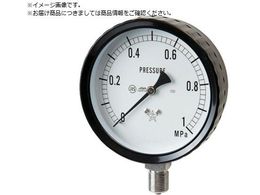 �E�� �X�e�����X���͌v A�g���^�E��100 ���̓����W0�`0.60MPa G411-261-0.6MP