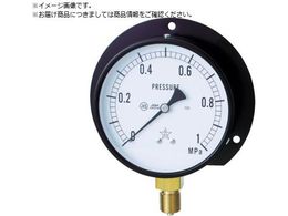 �E�� ��ʈ��͌v B�g���^�E��100 ���̓����W0�`0.16MPa G421-211-M-0.16MP