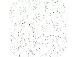 WAKI VV[ \[gp 1pbN 10 GB4005