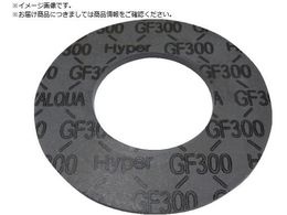 VALQUA ubNnCp[KXPbg Ăьa100A GF300G-J1S100