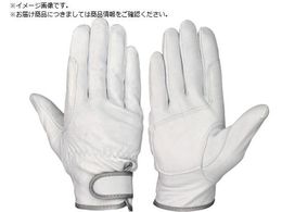 V Mv GT[718 MTCY GT718-M