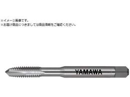 } Yf|p|Cg^bv HC+PO P2 M2.6~0.45 HC-PO-M2.6X0.45