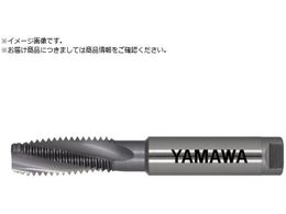 } hCHpX`[pXpC^bv HDISP P4 M8X1.25 HDISP-M8X1.25