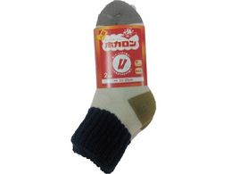 �����t�� �w�l�z�J���� ���p�C���A�N�����ؑ� �I�t�V�� 2����