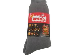 �����t�� �a�m�z�J���� �N���[�䑍�p�C�����N�� 2����