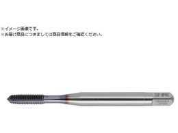 } nCptH[}X[^bv HP+RZ G4 M1.7X0.35 B HPRZ-G4-M1.7X0.35-B