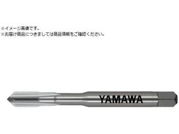 } nh^bv HT P2 M4.5X0.5 1.5P HT-P2-M4.5X0.5-1.5P