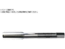 } nh^bv HT P2 M12X0.5 5P HTP-M12X0.5-2