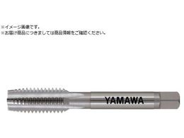 } nh^bv HT P3 M12X1.75 5P HTP-M12X1.75-2