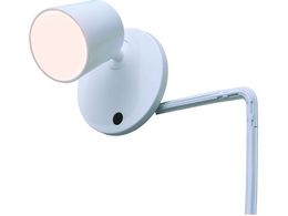 IRIS 253431 LED�X�|�b�g���C�g �d���F 280lm ISP3L-W