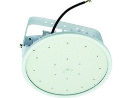 NICHIDO �n�C�f�B�X�N300W �d�����u��̌^ �����F �݉����^ ���C�h L300V2-P-HW-50K